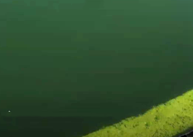 QQ圖片20230221103517 QQ圖片20230221103517