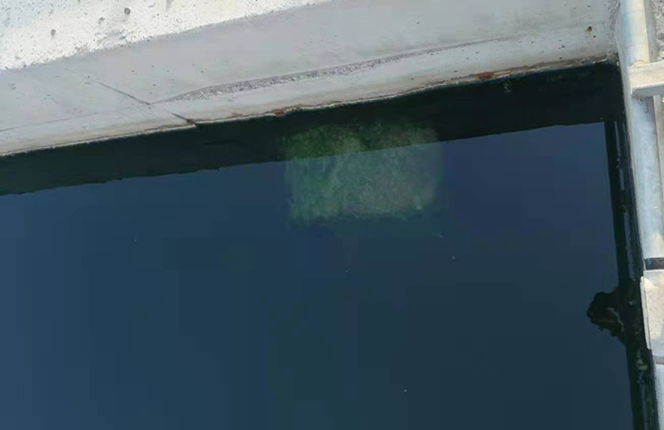 QQ圖片20230221103847 QQ圖片20230221103847